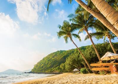 Investing in Samui: A Tropical Paradise for Property Investors and Expats