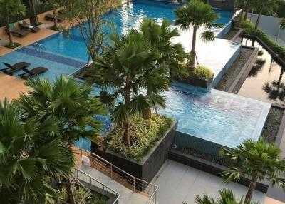 The Trust Condo South Pattaya