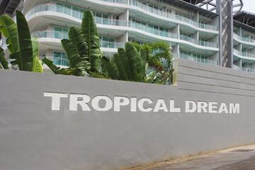 Tropical Dream