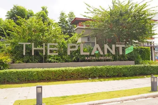 The Plant Kathu-Patong