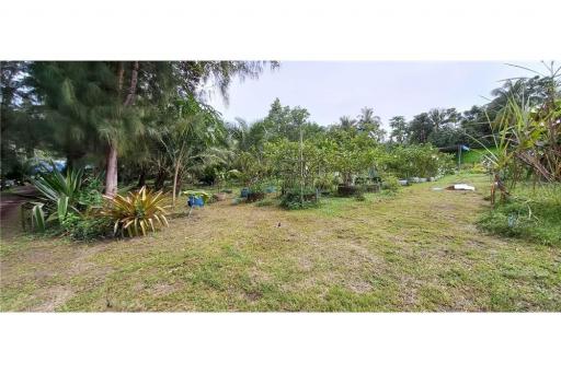 Sunset Beachfront land for sale ,Prime areaThaSala - 920121030-135