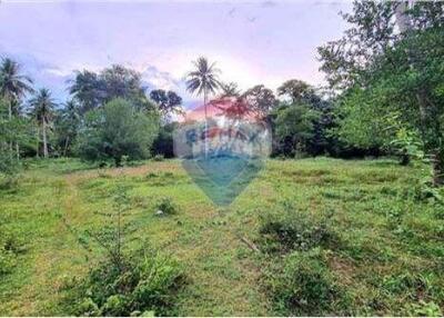 FOR SALE!! LAND NEAR SONG RAUE WATERFALL