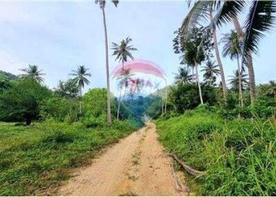 FOR SALE!! LAND NEAR SONG RAUE WATERFALL