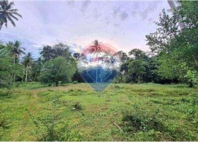 FOR SALE!! LAND NEAR SONG RAUE WATERFALL