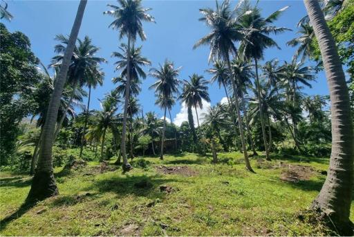 2500 SQM Seaview Land in Khanom (Naern Thae Wada)