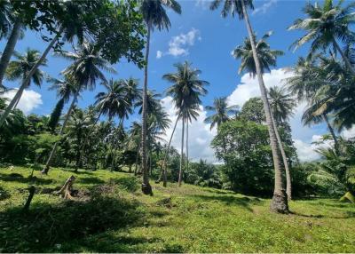 2500 SQM Seaview Land in Khanom (Naern Thae Wada) - 920121030-101