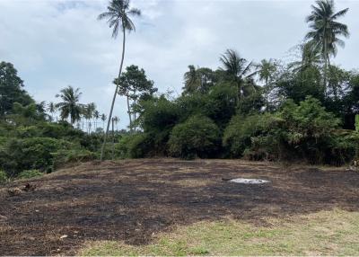 Quick sale! Price discount from 4.5 MB to 3.95 MB - Peaceful flat land near Santiburi Golf Course at Mae Nam, Koh Samui.