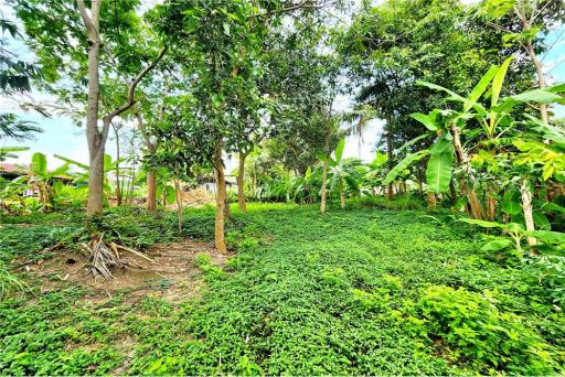 Bangrak land for Sale, Koh Samui - 920121018-203