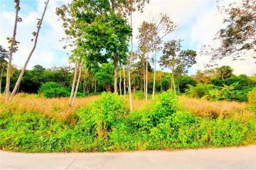 Samui Land near Beach for Sale - 920121018-174