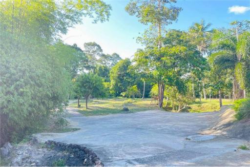 FOR SALE: Business with Spacious Beautiful Land - 920121039-19