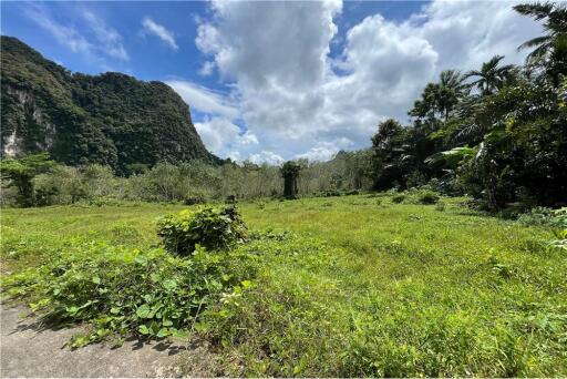 FOR SALE ‼️ AMAZING LAND PLOT IN NONG THALE