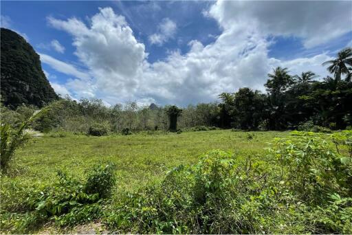 FOR SALE ‼️ AMAZING LAND PLOT IN NONG THALE
