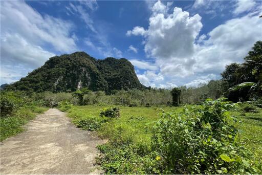 LAND FOR SALE !  1.5 Million Baht/Rai