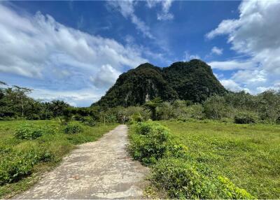 LAND FOR SALE !  1.5 Million Baht/Rai