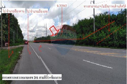 ขายที่ดินว่างเปล่า อ.เชียงคาน จ.เลย