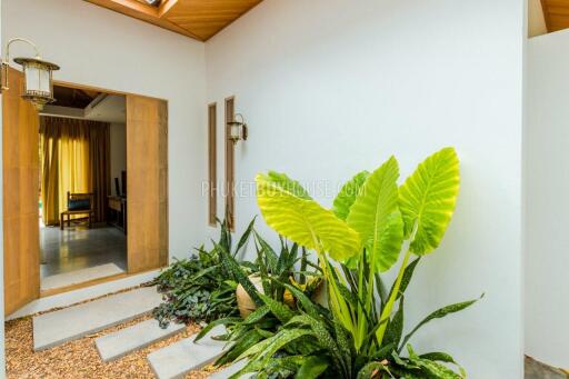 CHA2316: 3 Bed Luxury Villa For Sale in Chalong