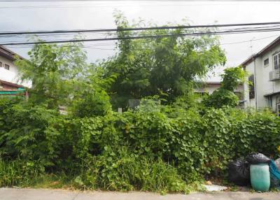 63 Sq.wah Land For sale in Prachachuen Soi 8 Yak 1/4, Bang Khen, Nonthaburi