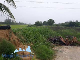 10 Rai 2 Ngan 35 Sqw, Land For Sale in Khlong 8, Lam Luk Ka, Pathum Thani