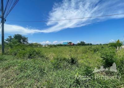 11 Rai Land For Sale in Sisa Chorakhe Yai, Bang Sao Thong, Samut Prakan
