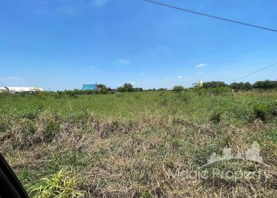 11 Rai Land For Sale in Sisa Chorakhe Yai, Bang Sao Thong, Samut Prakan