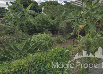 101 Sq.wah Land For Sale in Soi Pridi Sukhumvit 71, Watthana, Bangkok