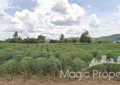 7 Rai Purple Area Land For Sale in Nong kham, Sri Racha, Chonburi