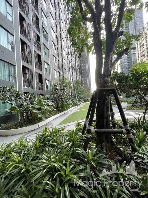 1 Bedroom Condo For Sale in Life Asoke - Rama 9, Makkasan, Ratchathewi, Bangkok