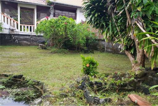 Prime plot for sale, 500 Meters from Patong Beach! - 920081001-1144