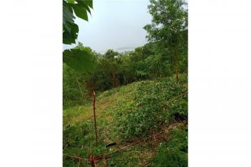 PHUKET TOWN LAND  SEAVIEW FOR SALE