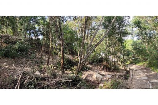 PHUKET TOWN LAND  SEAVIEW FOR SALE