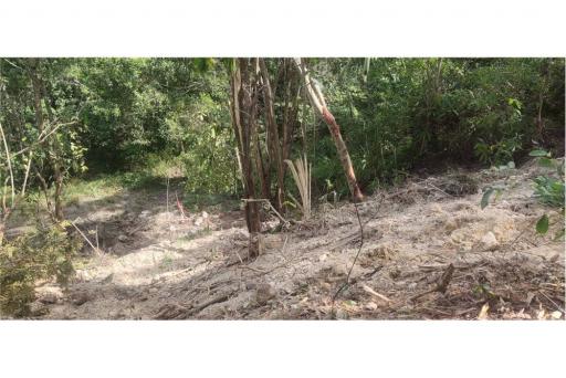 PHUKET TOWN LAND  SEAVIEW FOR SALE - 920081001-1146