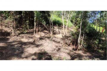 PHUKET TOWN LAND  SEAVIEW FOR SALE - 920081001-1146