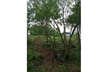 PHUKET TOWN LAND  SEAVIEW FOR SALE