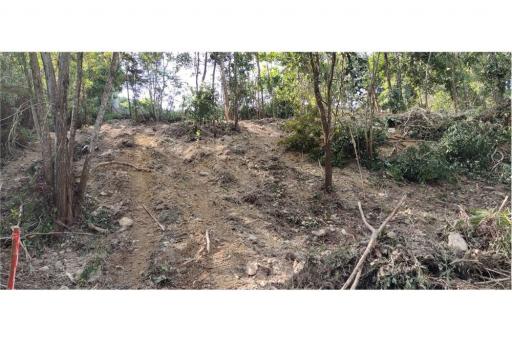 PHUKET TOWN LAND  SEAVIEW FOR SALE