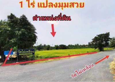 ที่ดิน ซอย กันตนา 1 ไร่ วัดไผ่เหลือง(บางใหญ่) แปลงมุมสวย ติดถนนทั้ง 2 ด้าน