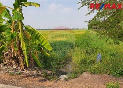 33,600 Sqm. Land listed for ฿ 52,500,000.