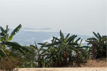 Panoramic Seaview land for sale 1,600 SQ.M