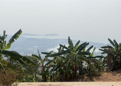 Panoramic Seaview land for sale 1,600 SQ.M - 920121030-151