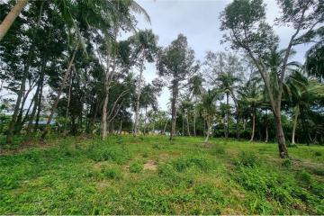 FOR SALE LAND NEAR THE BEACH 50 METER IN SICHON - 920121030-76