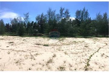 FOR SALE‼ BEACH LAND IN THA SALA, NAKHON SI THAAMARAT. - 920121030-14