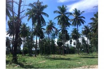 FOR SALE‼ BEACH LAND IN THA SALA, NAKHON SI THAAMARAT. - 920121030-14