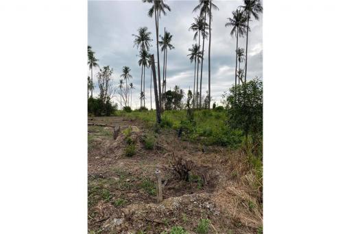 FOR SALE!! BEACH LAND IN SICHON, NAKHON SI