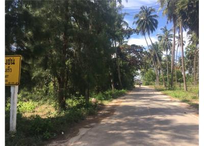 BEACH LAND FOR SALE IN THA SALA, NAKHON SI