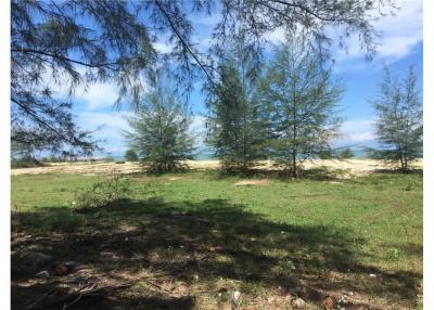 BEACH LAND FOR SALE IN THA SALA, NAKHON SI