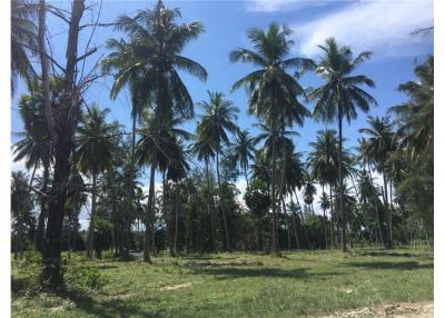 BEACH LAND FOR SALE IN THA SALA, NAKHON SI - 920121030-55