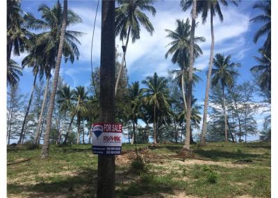 BEACH LAND FOR SALE IN THA SALA, NAKHON SI - 920121030-55