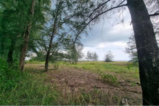 FOR SALE‼ BEACH LAND IN THA SALA, NAKHON SI - 920121030-49