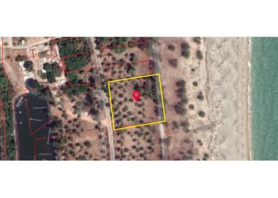 FOR SALE‼ BEACH LAND IN THA SALA, NAKHON SI - 920121030-49