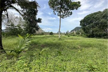 Land for sale in Ao nang