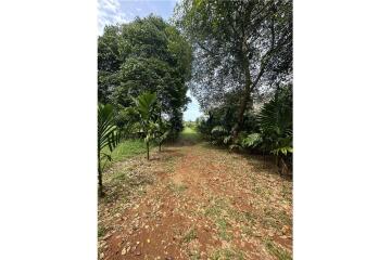 Land for sale in Ao nang